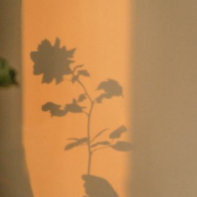 群雄江湖手游果盘版下载