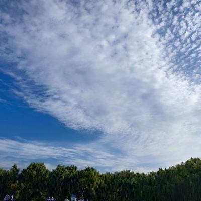 亮剑游戏手机版2024版本下载